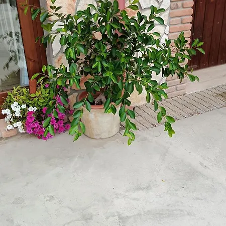 Taverna Andrea, Residenza Privata Lejlighed