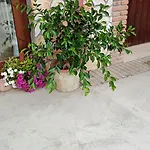 Taverna Andrea, Residenza Privata 아파트